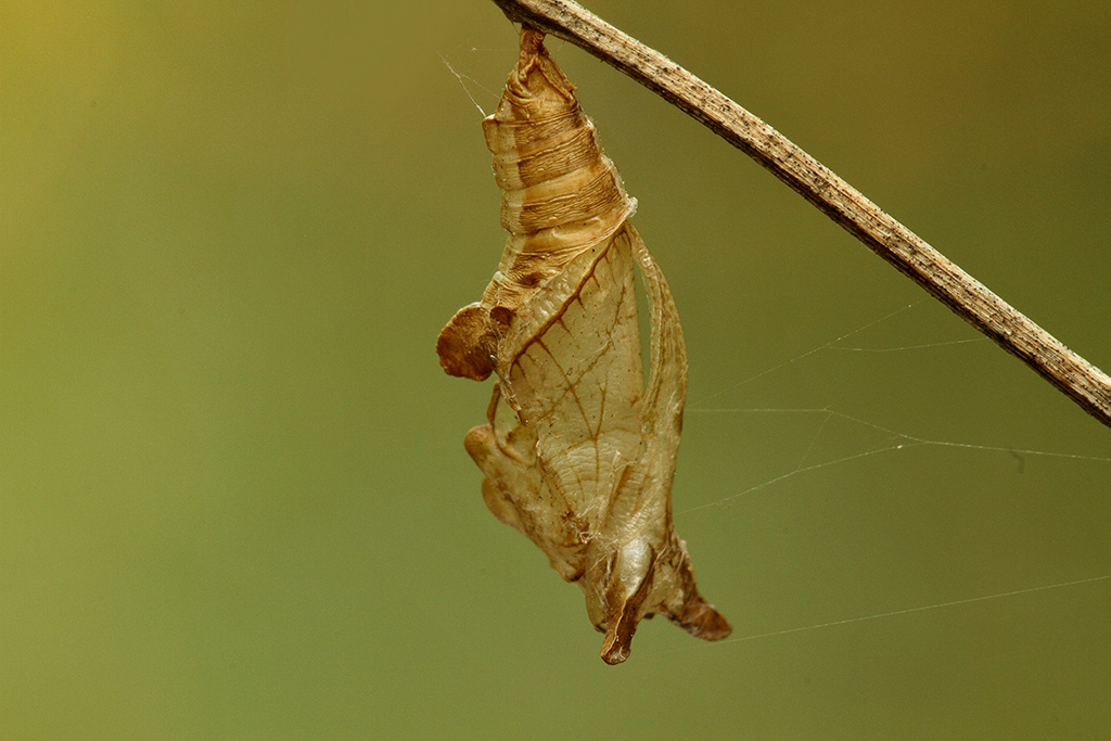 era abitato da qualcuno?
